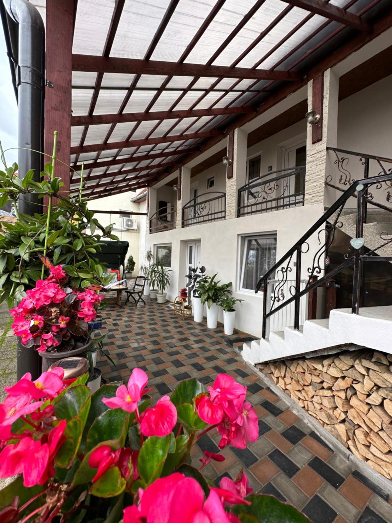 Casa Rio Otel Sighişoara Dış mekan fotoğraf