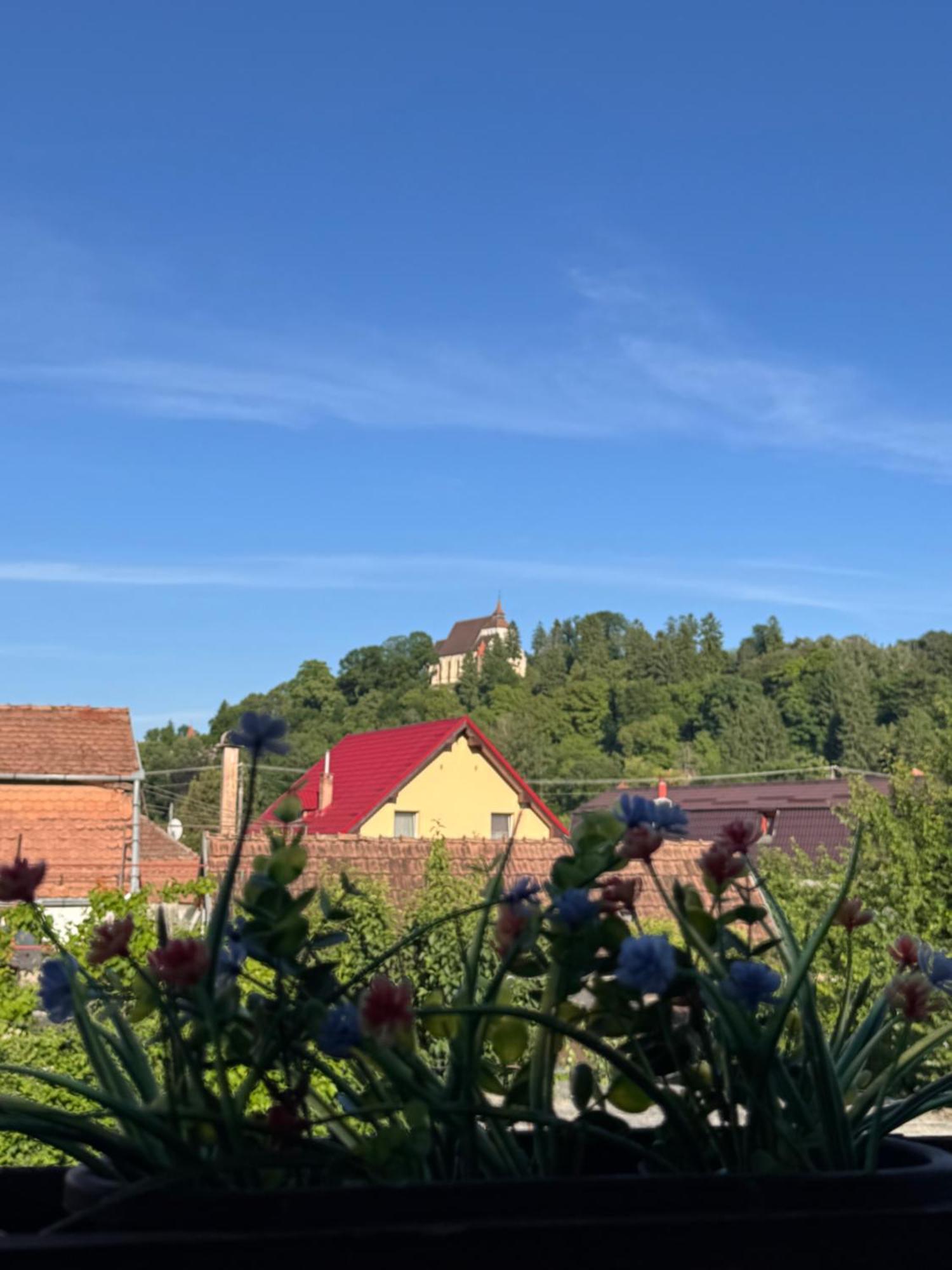 Casa Rio Otel Sighişoara Dış mekan fotoğraf